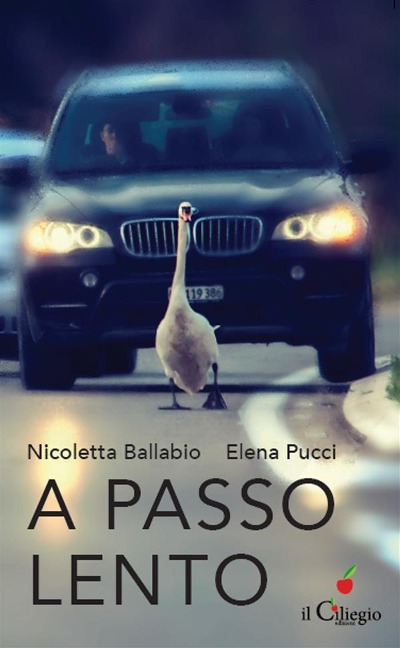 A passo lento. Pensieri, idee, proposte per educare alla lentezza nel tempo della velocità - Nicoletta Ballabio, Elena Pucci