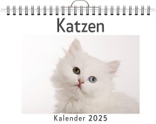 Katzen - (Wandkalender 2025, Kalender DIN A4 quer, Monatskalender im Querformat mit Kalendarium, das perfekte Geschenk) - Luisa Werner