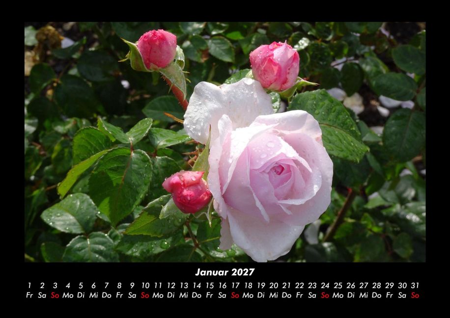 InsideView 5