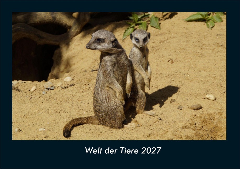 Welt der Tiere 2027 Fotokalender DIN A4 - Tobias Schmitt, Kevin Heber