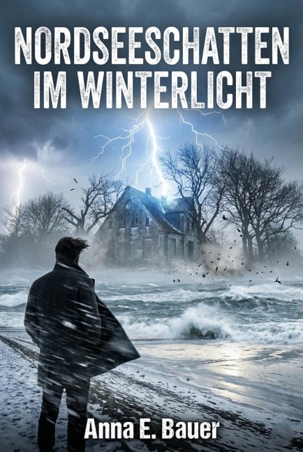 Nordseeschatten im Winterlicht - Anna E. Bauer