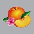Cover-Bild zum Titel 'Bankrupt!' von 'Phoenix'