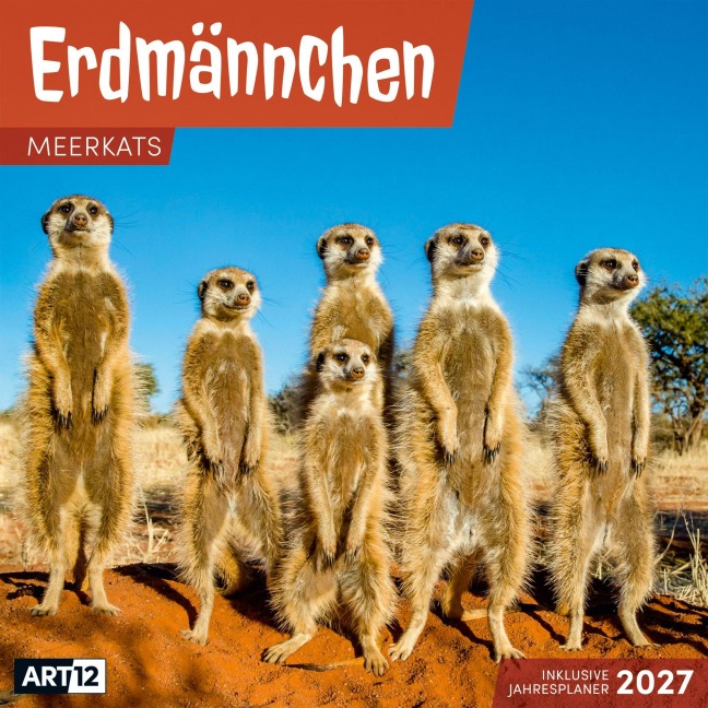 Erdmännchen Kalender 2027 - 30x30 - Art12 - Ackermann Kunstverlag GmbH