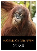 Augenblick der Affen 2024 (Wandkalender 2024 DIN A4 hoch), CALVENDO Monatskalender - Hamburg Mirko Weigt
