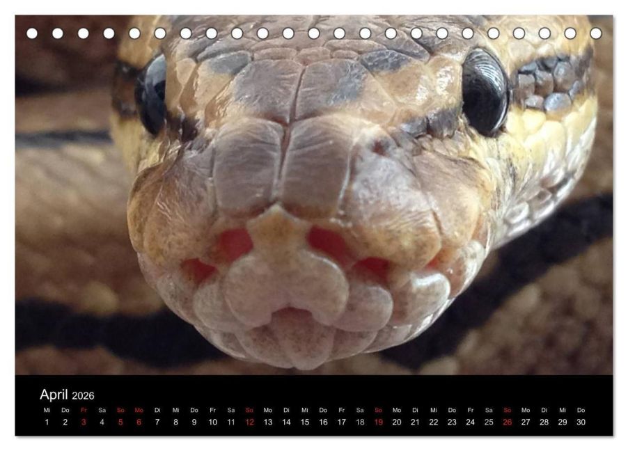 InsideView 9