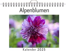 Cover-Bild zum Titel 'Alpenblumen - (Wandkalender 2025, Kalender DIN A4 quer, Monatskalender im Querformat mit Kalendarium, das perfekte Geschenk)' von 'Matteo Möller'
