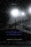 Cover-Bild zum Titel 'Zwei Außenseiter an Weihnachten' von 'Billy Remie'