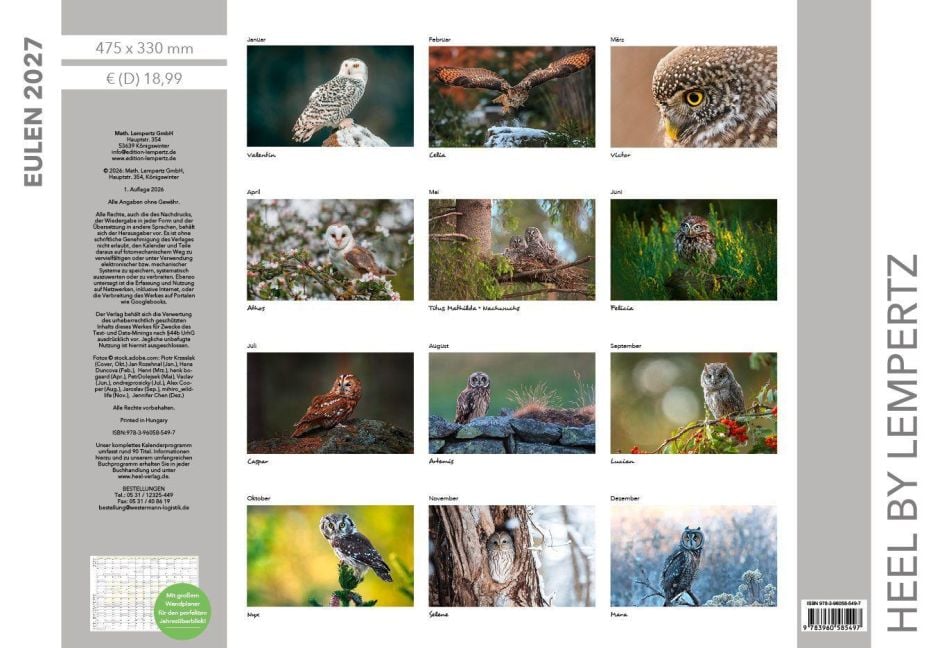 InsideView 13