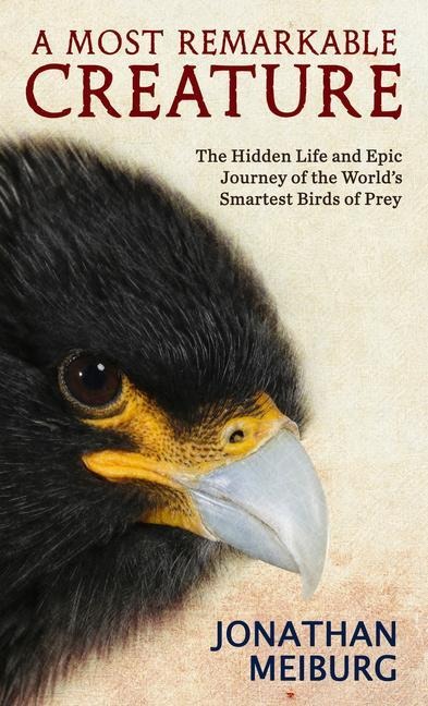 A Most Remarkable Creature - Jonathan Meiburg