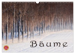 Cover-Bild zum Titel 'Bäume (Wandkalender 2027 DIN A3 quer), CALVENDO Monatskalender' von 'Martina Cross'