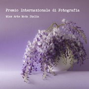 Cover-Bild zum Titel 'Premio Internazionale di Fotografia Miss Arte Moda Italia 2016' von 'Miss Arte Moda Italia'