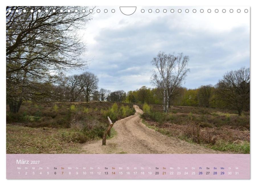 InsideView 8