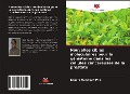 Cover-Bild zum Titel 'Nouvelles cibles moléculaires pour la génistéine dans les cellules cancéreuses de la prostate' von 'Kendra Merchant, James Kumi-Diaka'