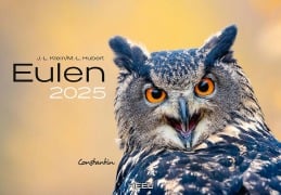 Eulen Kalender 2025 - J. -L. Klein, M. -L. Hubert