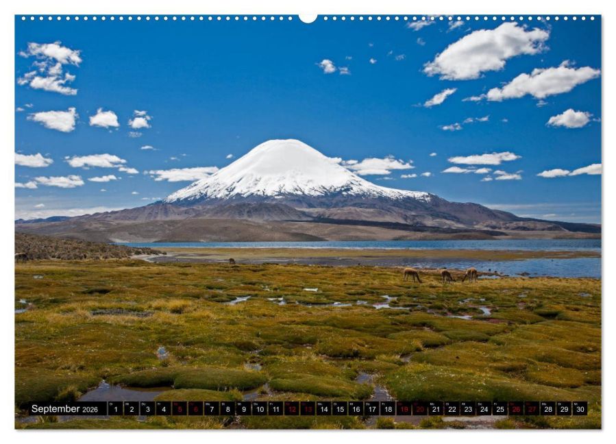 InsideView 13