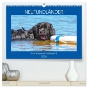 Cover-Bild zum Titel 'Neufundländer - Das Wasser ist ihr Element (hochwertiger Premium Wandkalender 2026 DIN A2 quer), Kunstdruck in Hochglanz' von 'Sigrid Starick'