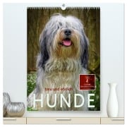 Hunde - treu und ehrlich (hochwertiger Premium Wandkalender 2026 DIN A2 hoch), Kunstdruck in Hochglanz - Peter Roder