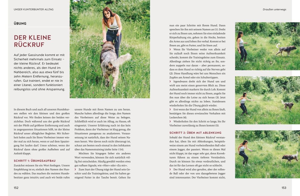 InsideView 8