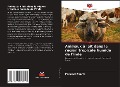 Cover-Bild zum Titel 'Animaux à lait dans la région tropicale humide de l'Inde' von 'Perumal Ponraj'