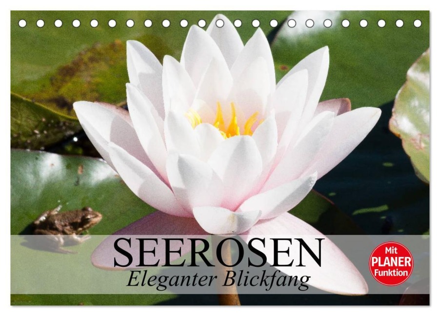 Seerosen. Eleganter Blickfang (Tischkalender 2025 DIN A5 quer), CALVENDO Monatskalender - Elisabeth Stanzer