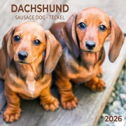 Cover-Bild zum Titel 'Dackel 2026' von ''