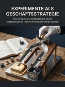 Cover-Bild zum Titel 'Experimente als Geschäftsstrategie' von 'Mara Steinwald'