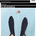 Cover-Bild zum Titel 'Schneeriese' von 'Susan Kreller'