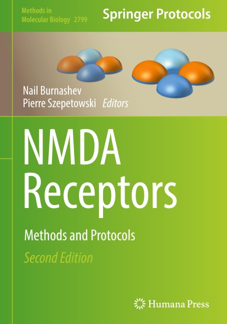 NMDA Receptors - 