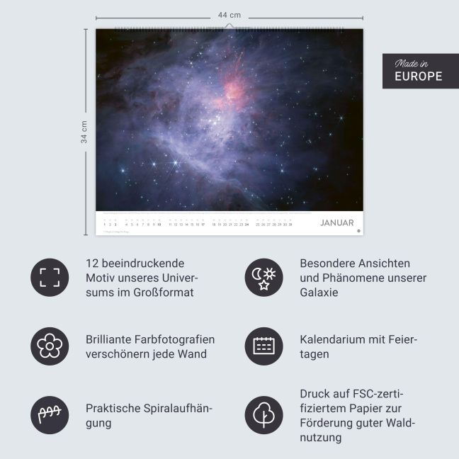 InsideView 13
