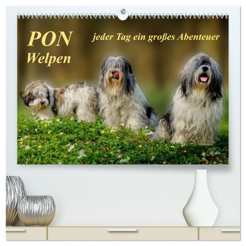 PON - Welpen, jeder Tag ein großes Abenteuer (hochwertiger Premium Wandkalender 2025 DIN A2 quer), Kunstdruck in Hochglanz - Peter Roder