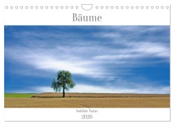 Cover-Bild zum Titel 'Bäume - Gelebtes Leben (Wandkalender 2026 DIN A4 quer), CALVENDO Monatskalender' von 'Dieter W. Hack'