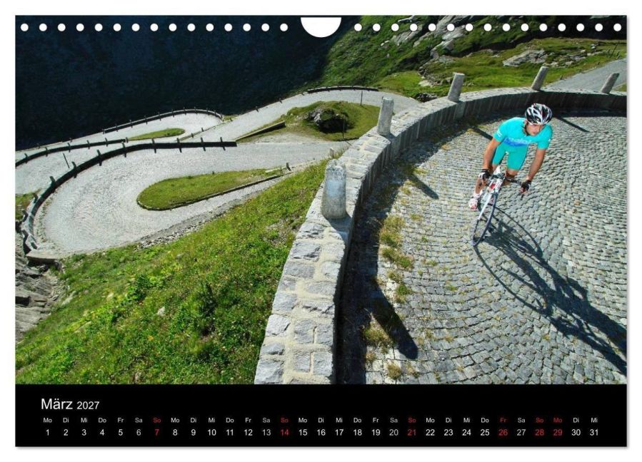 InsideView 8