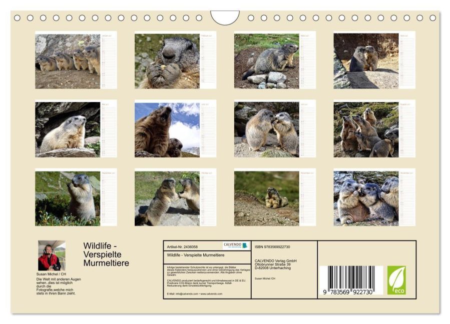 InsideView 5