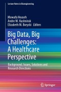 Cover-Bild zum Titel 'Big Data, Big Challenges: A Healthcare Perspective' von ''