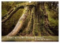 Märchenhafter Reinhardswald und Urwald Sababurg (Wandkalender 2025 DIN A3 quer), CALVENDO Monatskalender - Michael Pohl