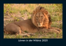Cover-Bild zum Titel 'Löwen in der Wildnis 2025 Fotokalender DIN A5' von 'Tobias Becker'
