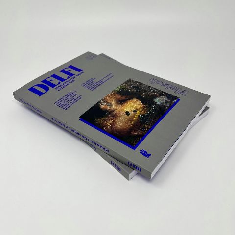 InsideView 1