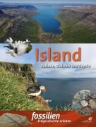 Cover-Bild zum Titel 'Island' von ''