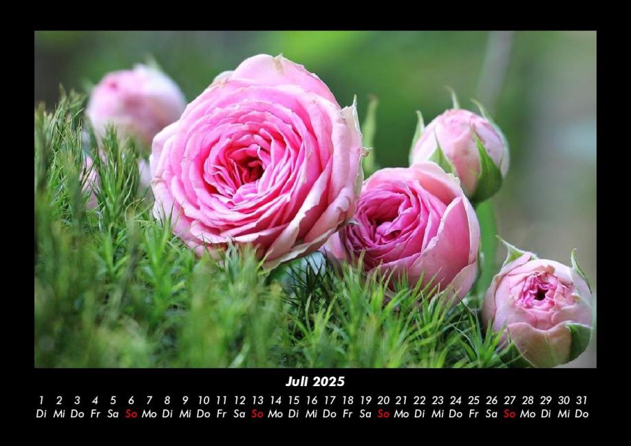 InsideView 11
