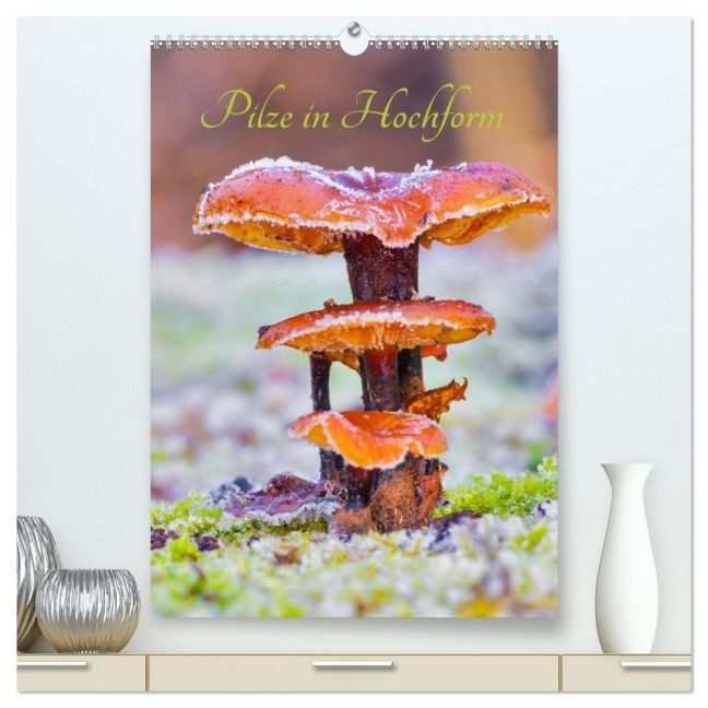 Pilze in Hochform (hochwertiger Premium Wandkalender 2026 DIN A2 hoch), Kunstdruck in Hochglanz - Clemens Stenner