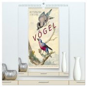 Cover-Bild zum Titel 'Aert Schouman. VÖGEL (hochwertiger Premium Wandkalender 2026 DIN A2 hoch), Kunstdruck in Hochglanz' von 'Jost Galle'