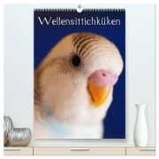 Wellensittichküken (hochwertiger Premium Wandkalender 2026 DIN A2 hoch), Kunstdruck in Hochglanz - Björn Bergmann