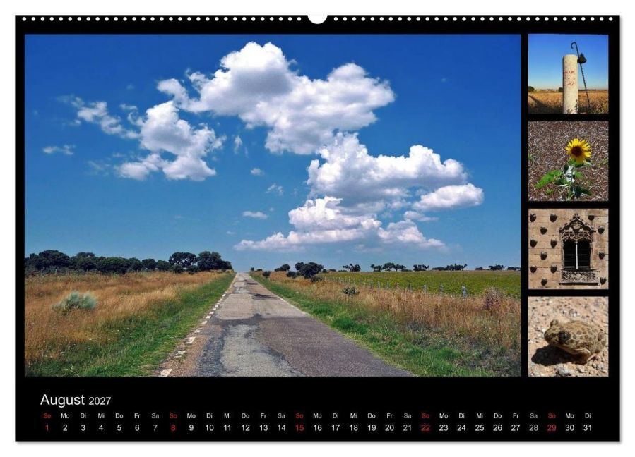InsideView 13