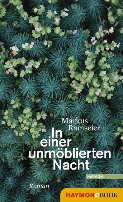 In einer unmöblierten Nacht - Markus Ramseier