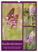 Cover-Bild zum Titel 'Knabenkräuter (Wandkalender 2026 DIN A3 hoch), CALVENDO Monatskalender' von 'Sabine Löwer'