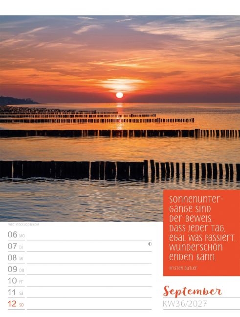 InsideView 40