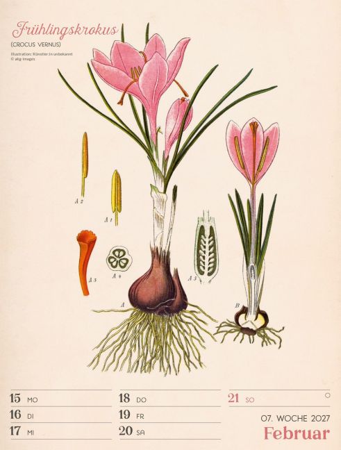 InsideView 11