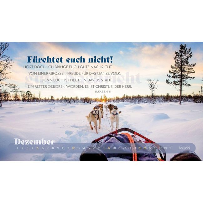 InsideView 11