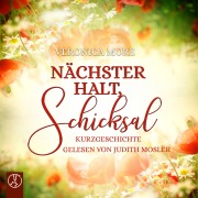 Cover-Bild zum Titel 'Nächster Halt, Schicksal' von 'Veronica More, Stephan Kerscher'