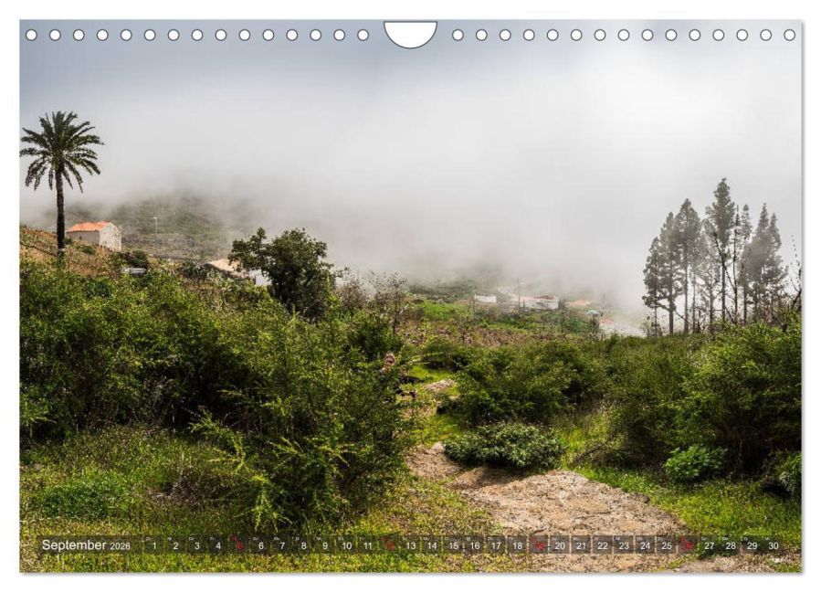 InsideView 14
